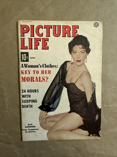 Picture life magazine - picture,